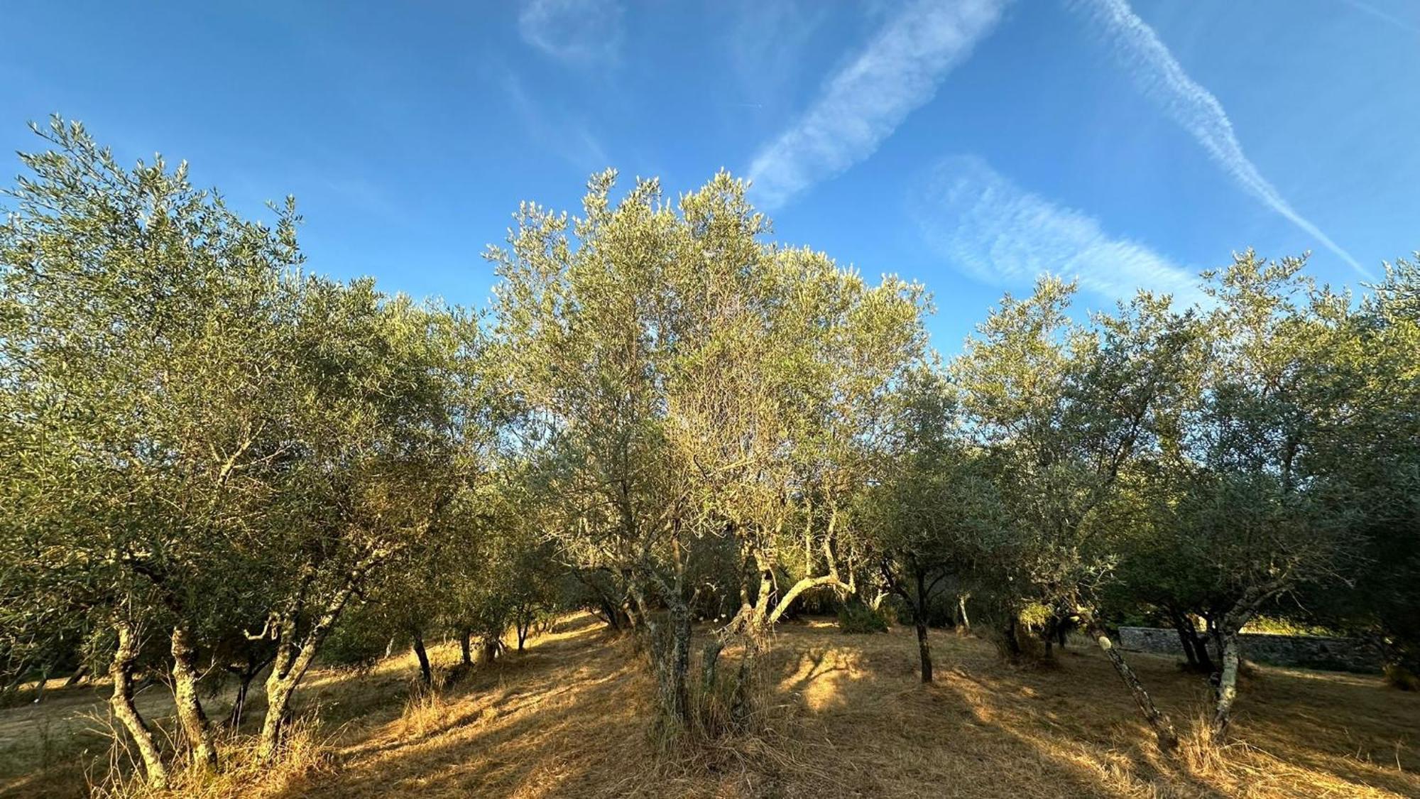 Borgo San Michele Incisa Tuscany Инчиза-ин-Валь-д'Арно Экстерьер фото